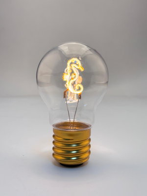 Sea Horse-Low Voltage Bulbs